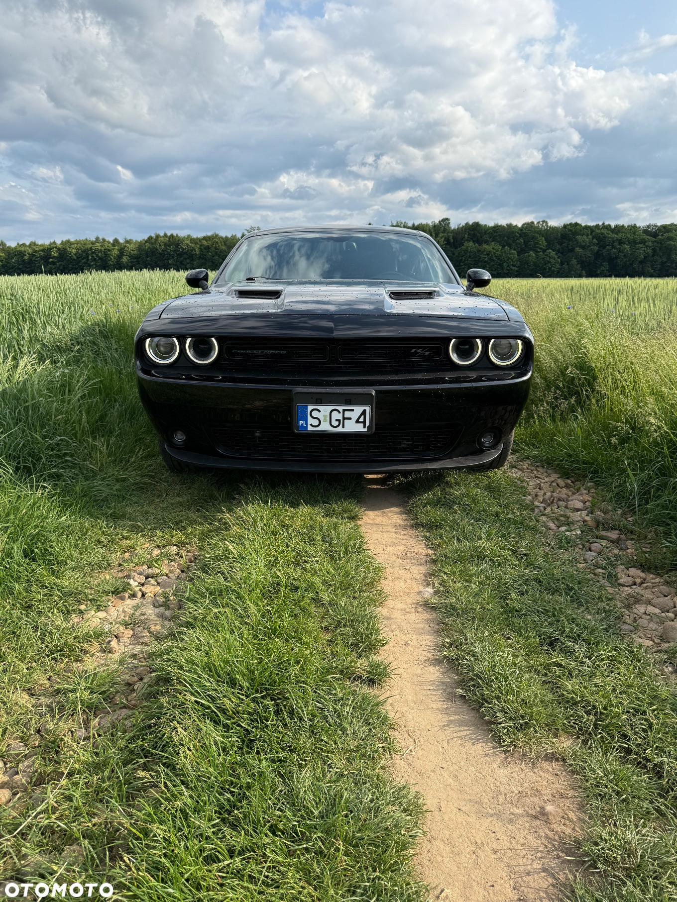Dodge Challenger Automatik R/T Plus - 3