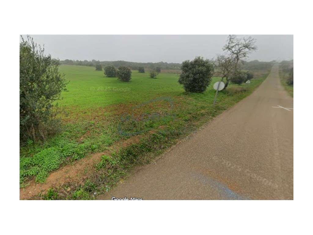 Terreno Rústico com 1,9 ha em Arieiro - Almoster- Santarém - Grande imagem: 4/4