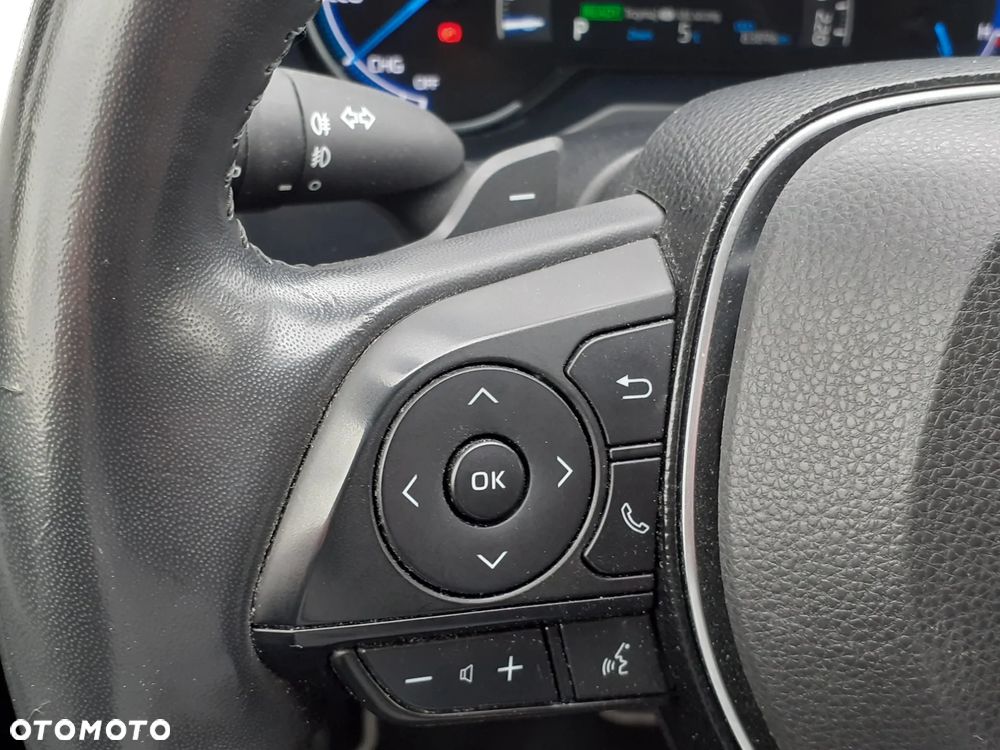 Toyota RAV4 2.5 Hybrid Executive 4x4 - 18