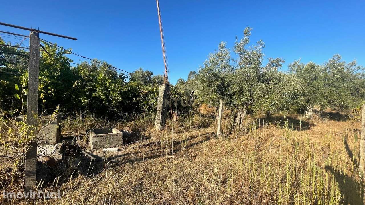 Terreno rústico em Aldeia do Bispo, Penamacor - Grande imagem: 2/12
