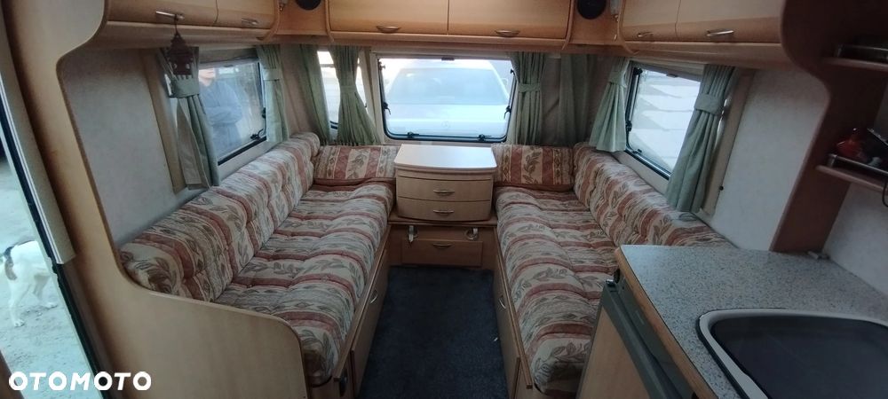 Coachman Amara - 11