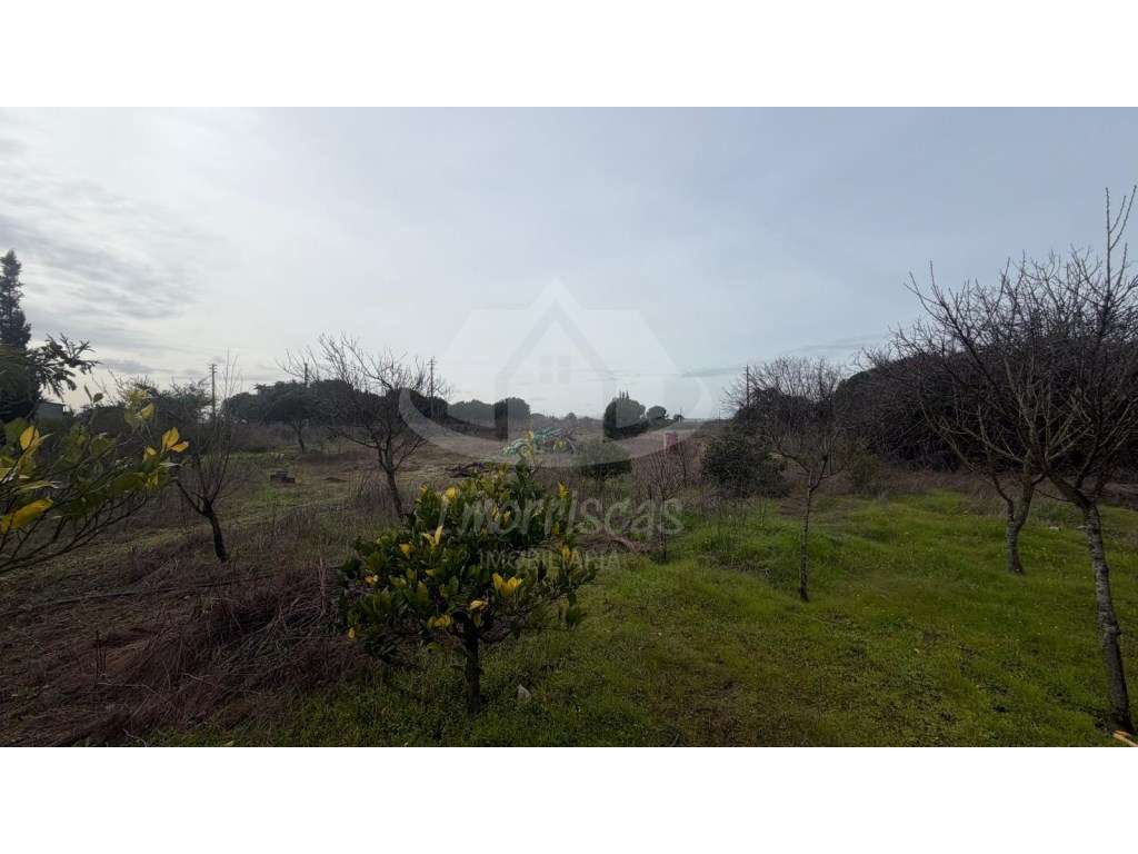 Terreno de 9.300 m² com construção, na Lau, Palmela - Grande imagem: 2/29