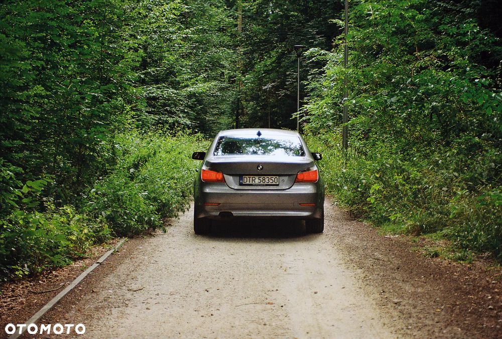 BMW Seria 5 525i - 8
