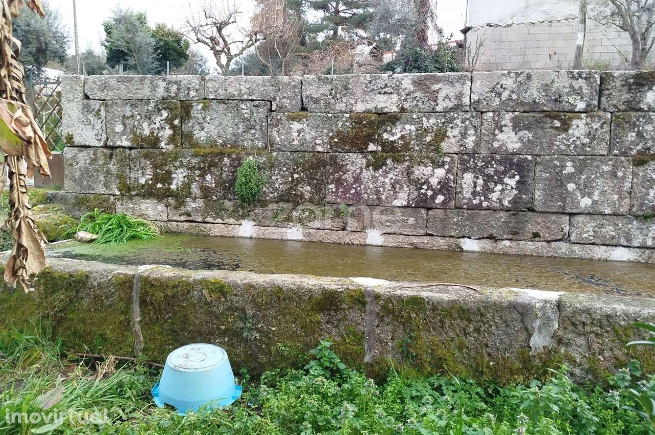 Terreno para Construção – Oportunidade Única, Chãs Tavares - Grande imagem: 5/21