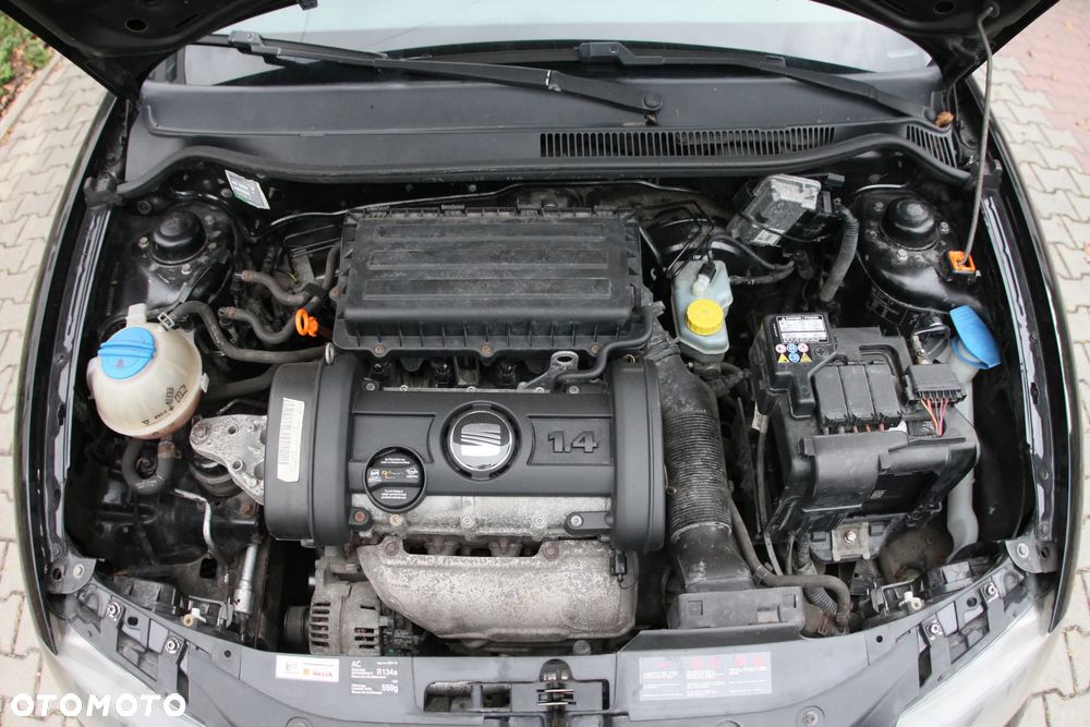 Seat Ibiza - 39