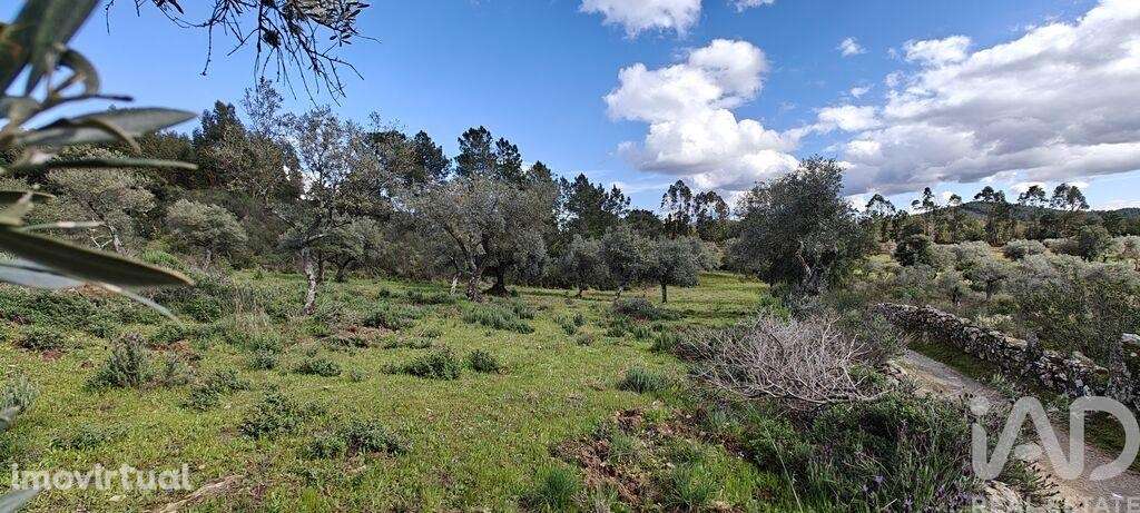 Terreno em Aranhas - Grande imagem: 2/3