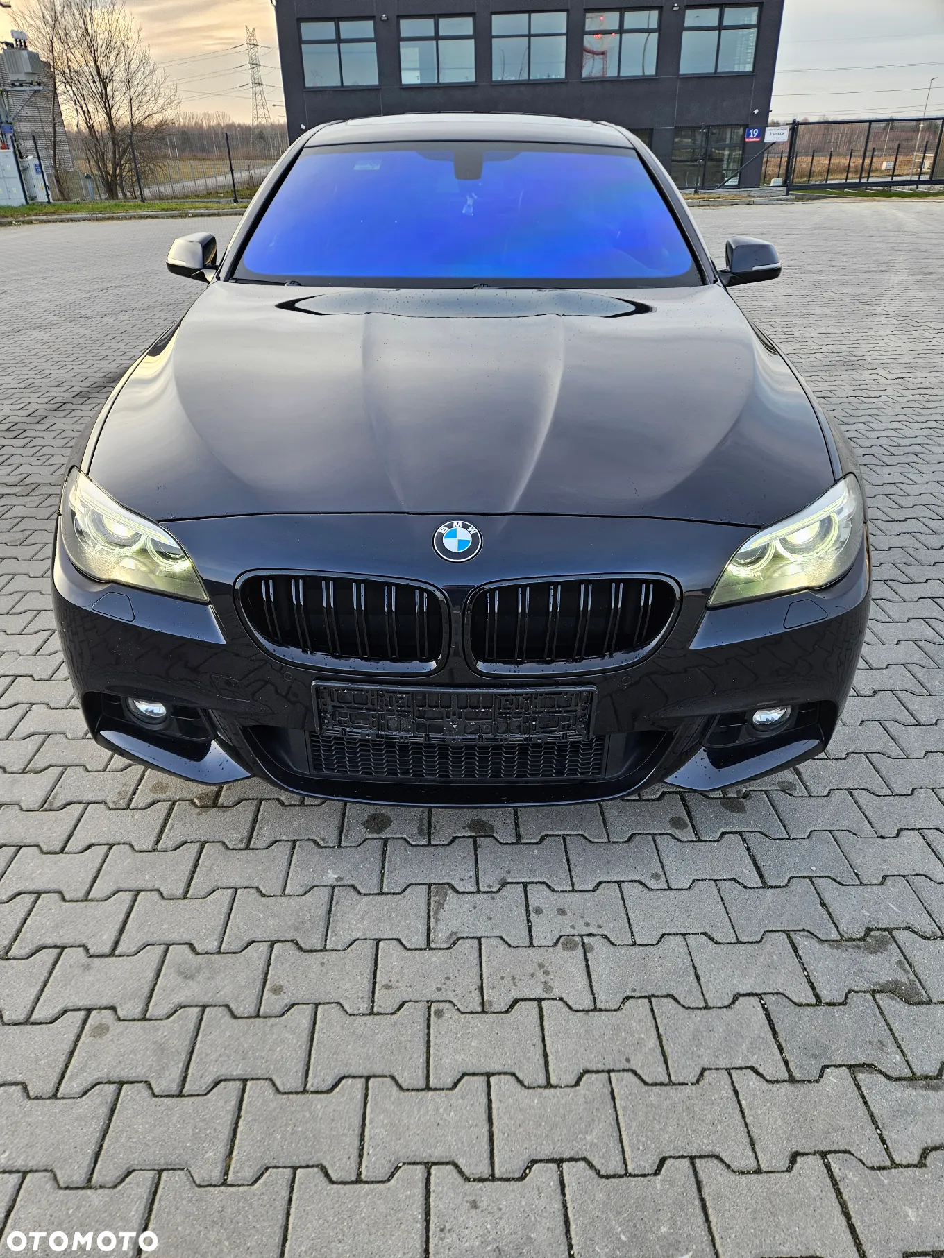 BMW Seria 5 520i Sport-Aut - 8