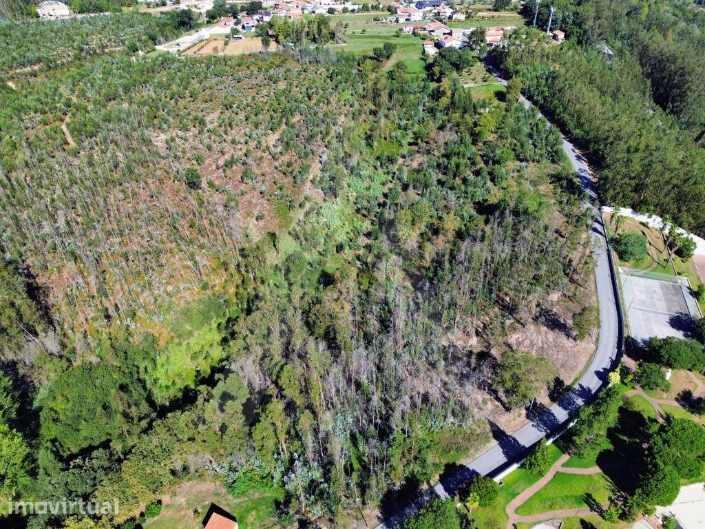 Terreno em Serém de Cima - Macinhata do Vouga - Grande imagem: 5/13