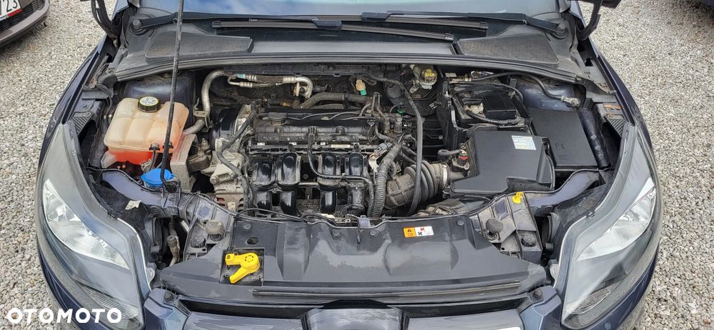 Ford Focus 1.6 TI-VCT Titanium - 24