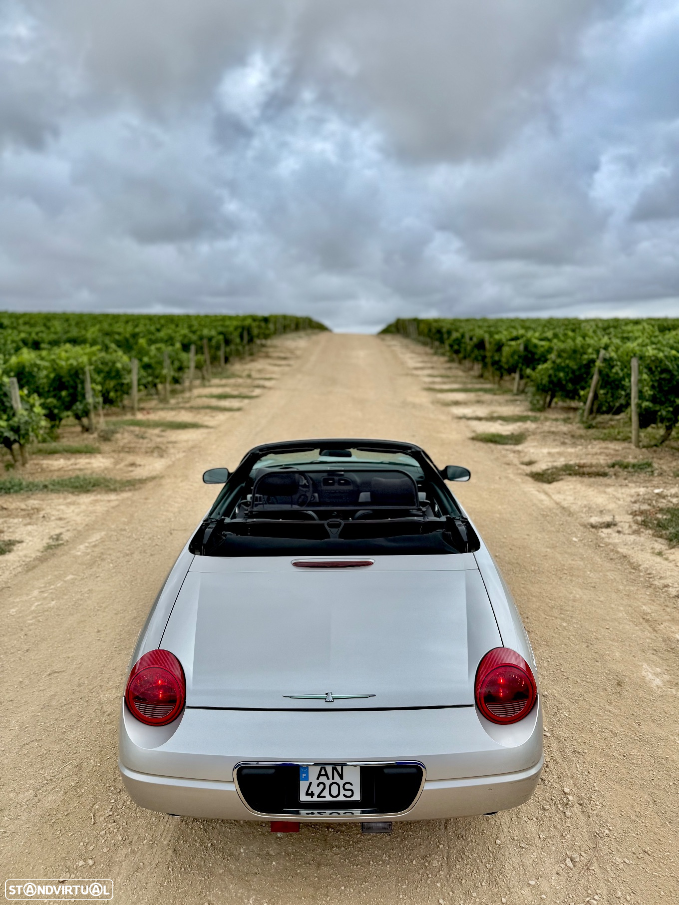Ford Thunderbird - 2