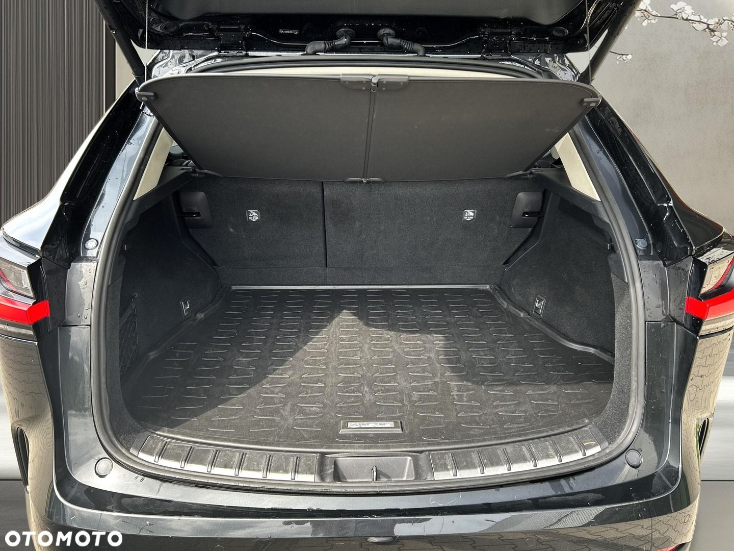 Lexus NX - 21