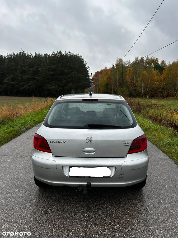 Peugeot 307 - 5