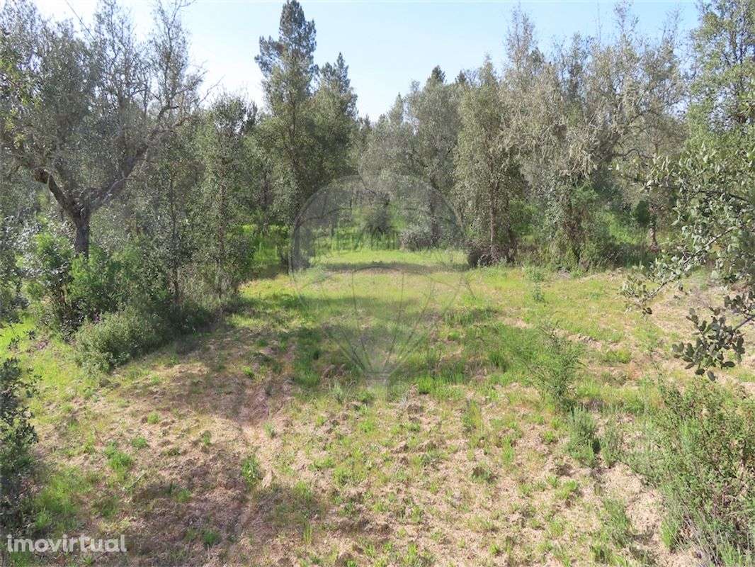 Quinta  para venda - Grande imagem: 4/20