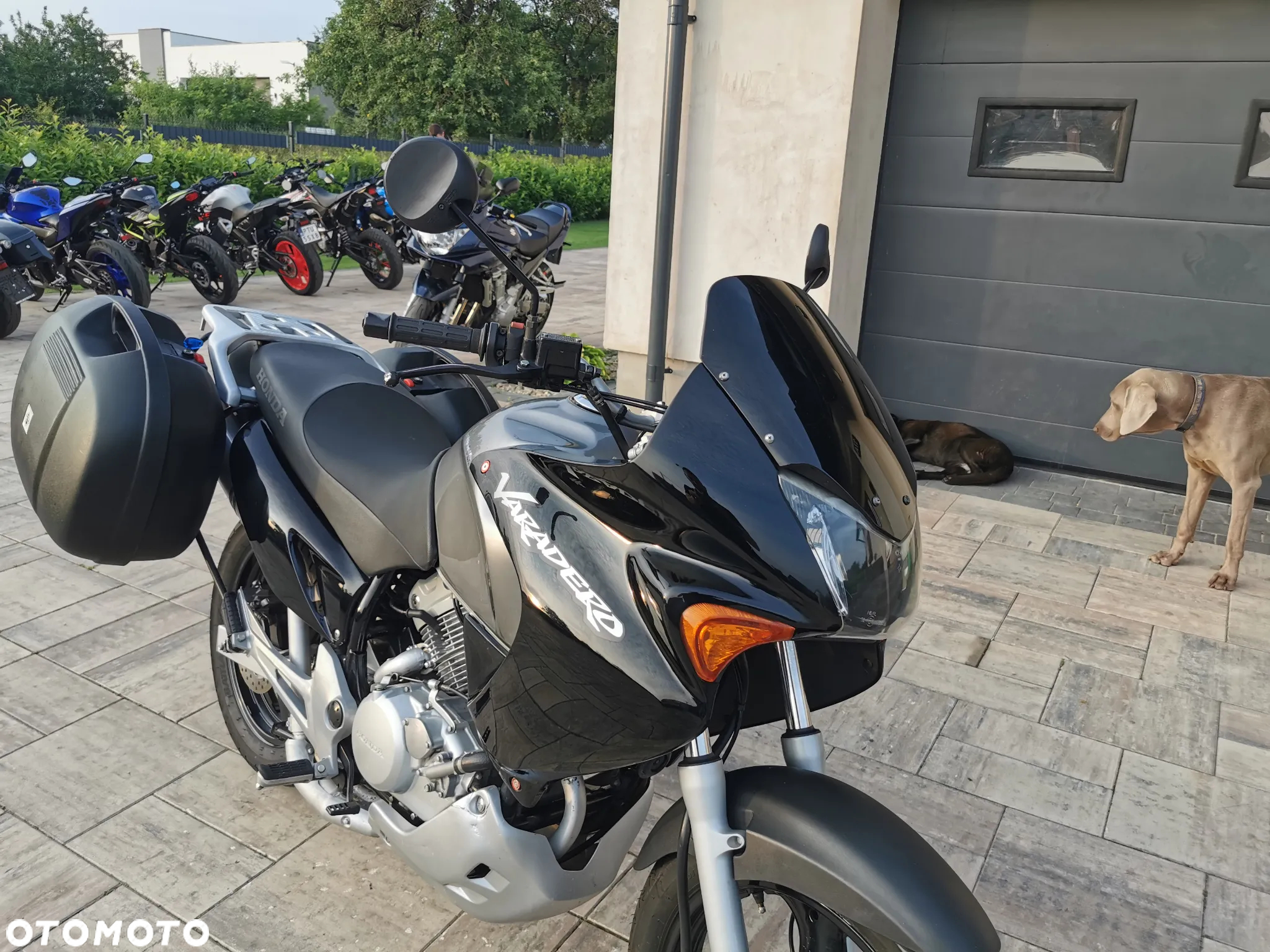 Honda Varadero - 12
