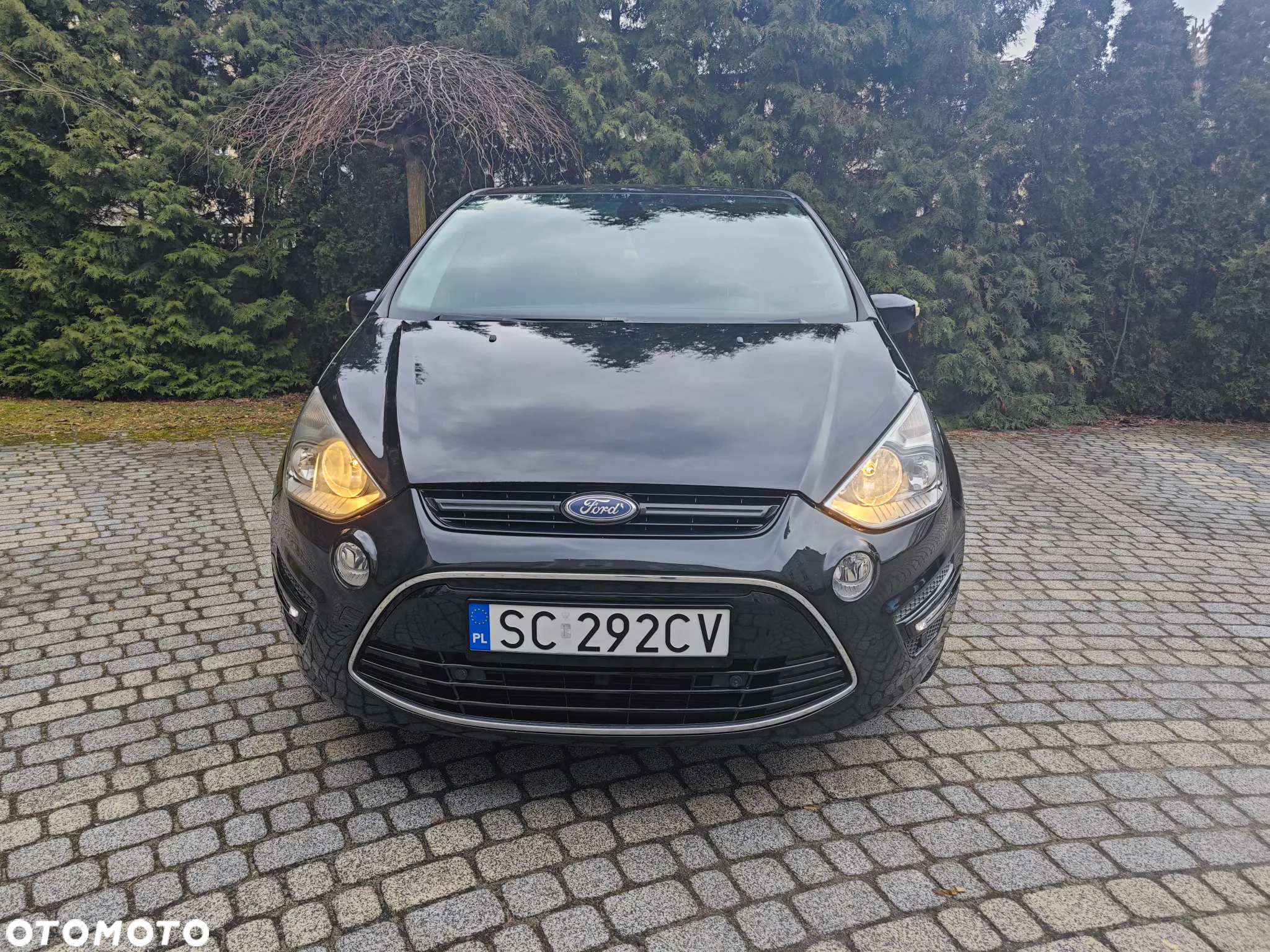 Ford S-Max 2.0 TDCi DPF Titanium - 9