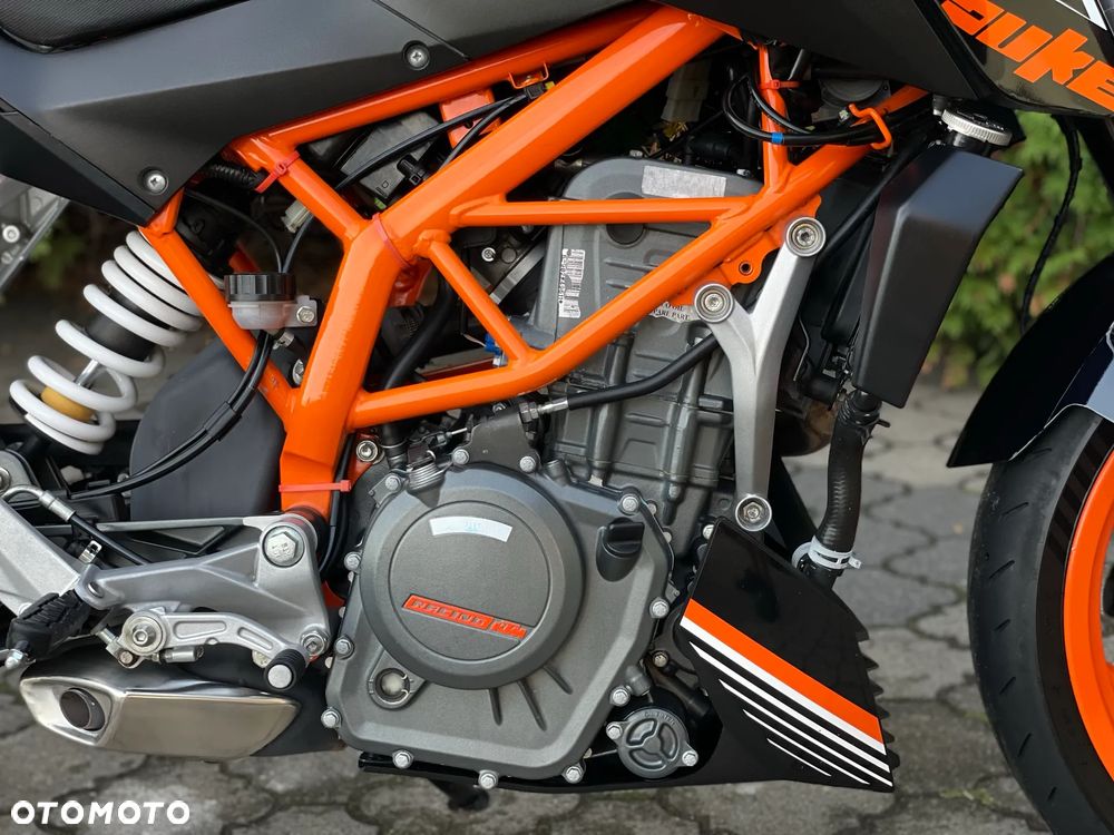 KTM Duke - 14