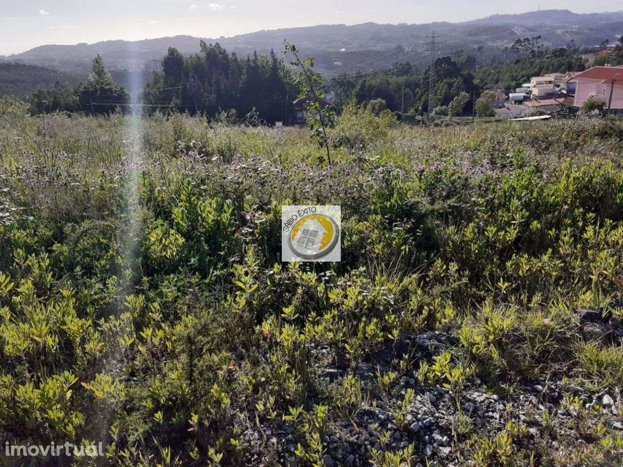 Vende-se Lotes Terreno em Olival - Grande imagem: 4/7