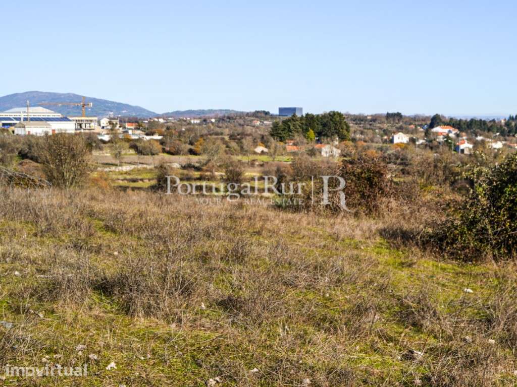 Quinta de 25.000m2 para construção de até 5.000m2 - Grande imagem: 3/21