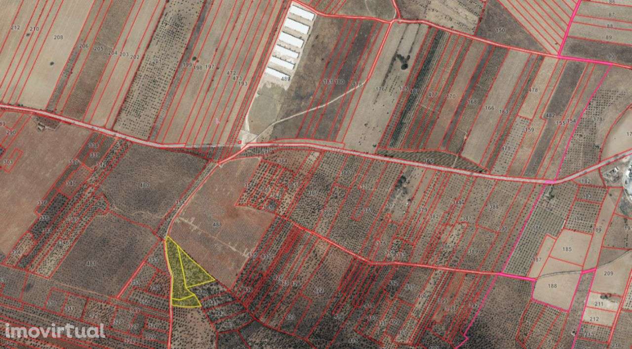 SOUSEL I terreno agrícola - Grande imagem: 4/6