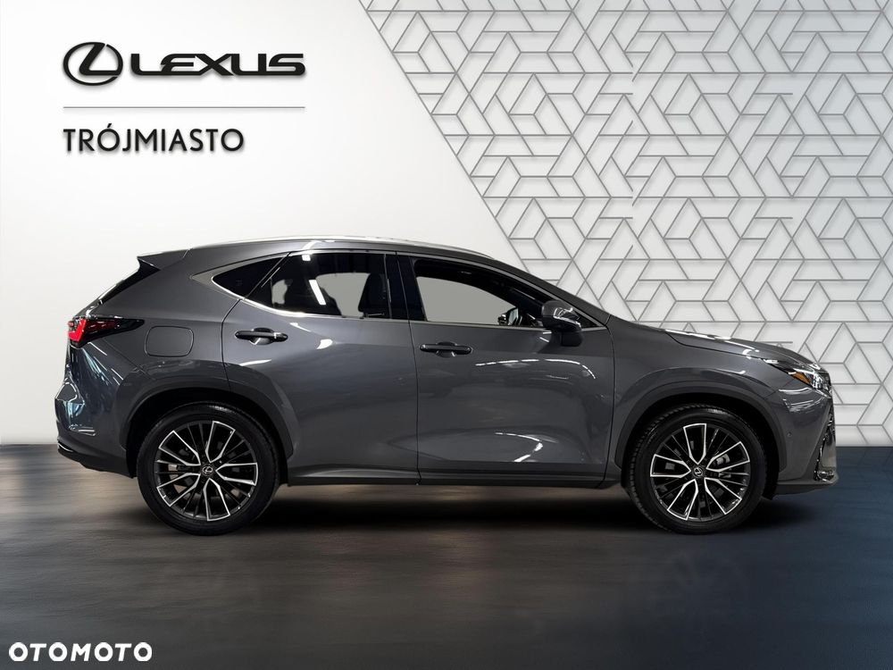 Lexus NX - 6