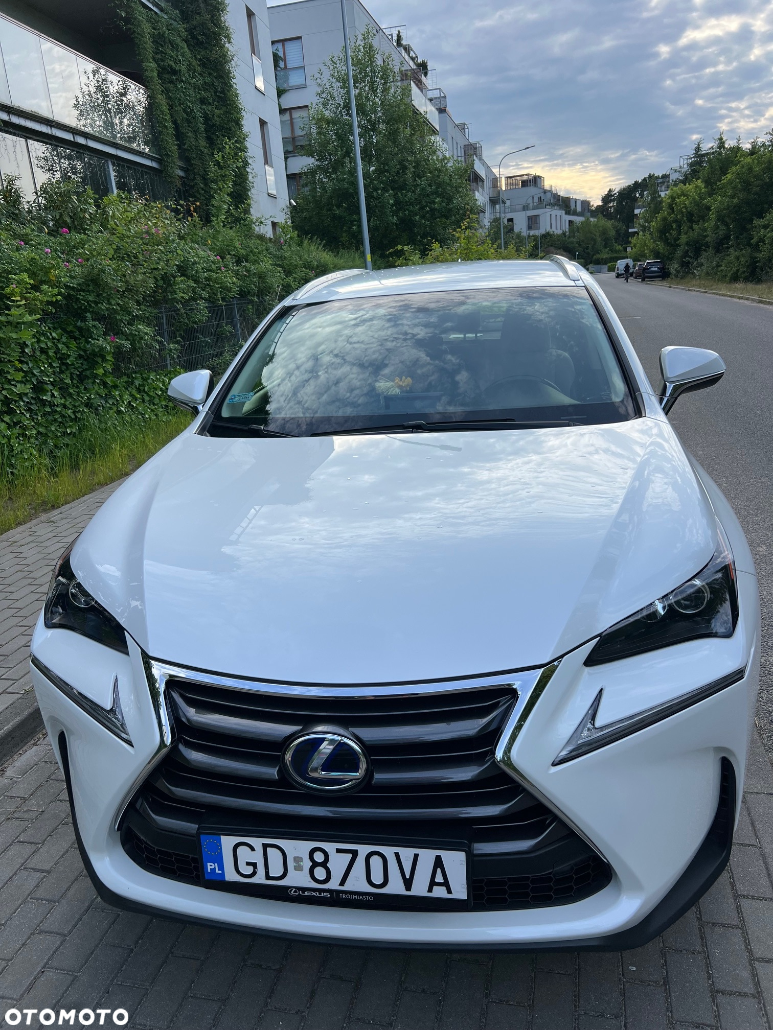 Lexus NX 300h Elite AWD - 11