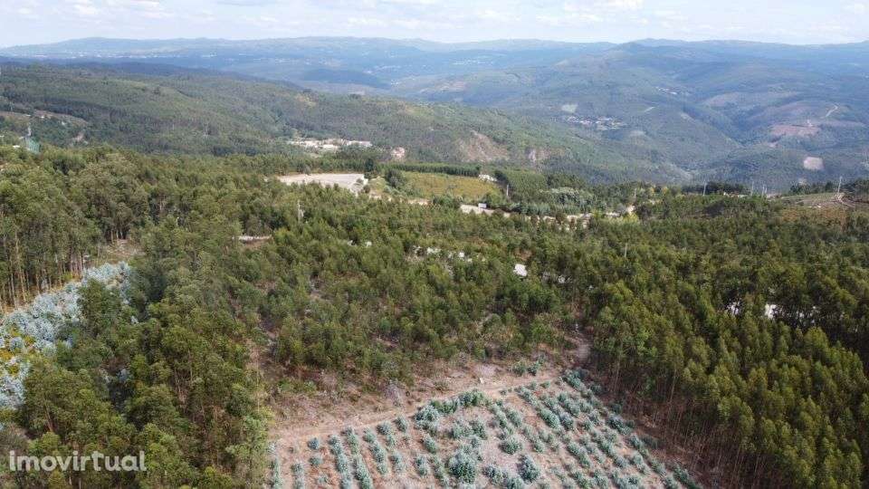 Terreno – Sever do Vouga - Grande imagem: 3/7