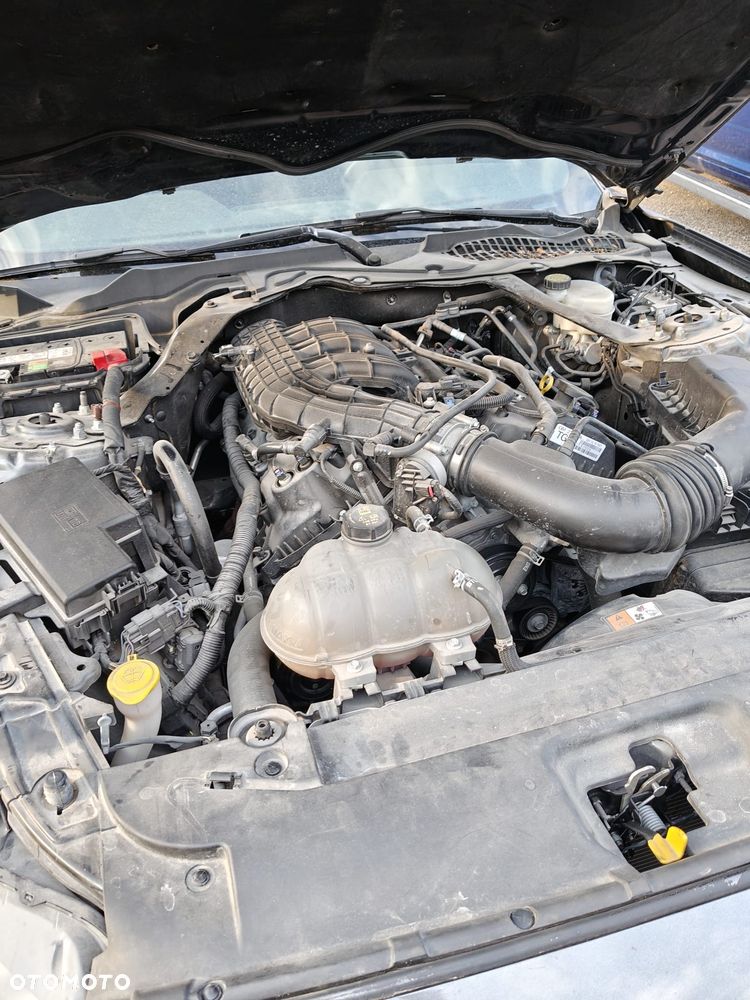 Ford Mustang 3.7 V6 - 7