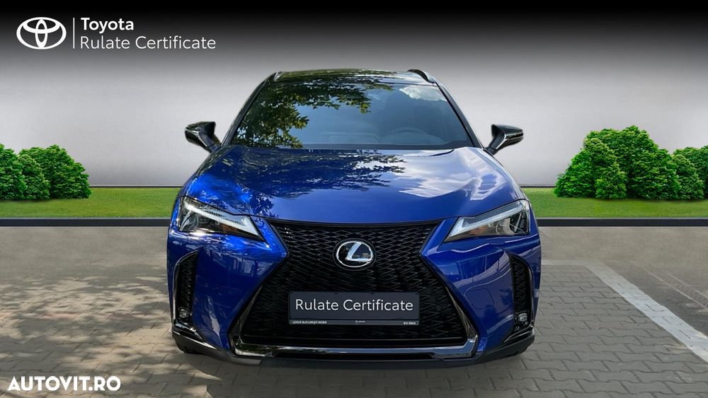 Lexus UX 300h AWD CVT HEV Business - 6