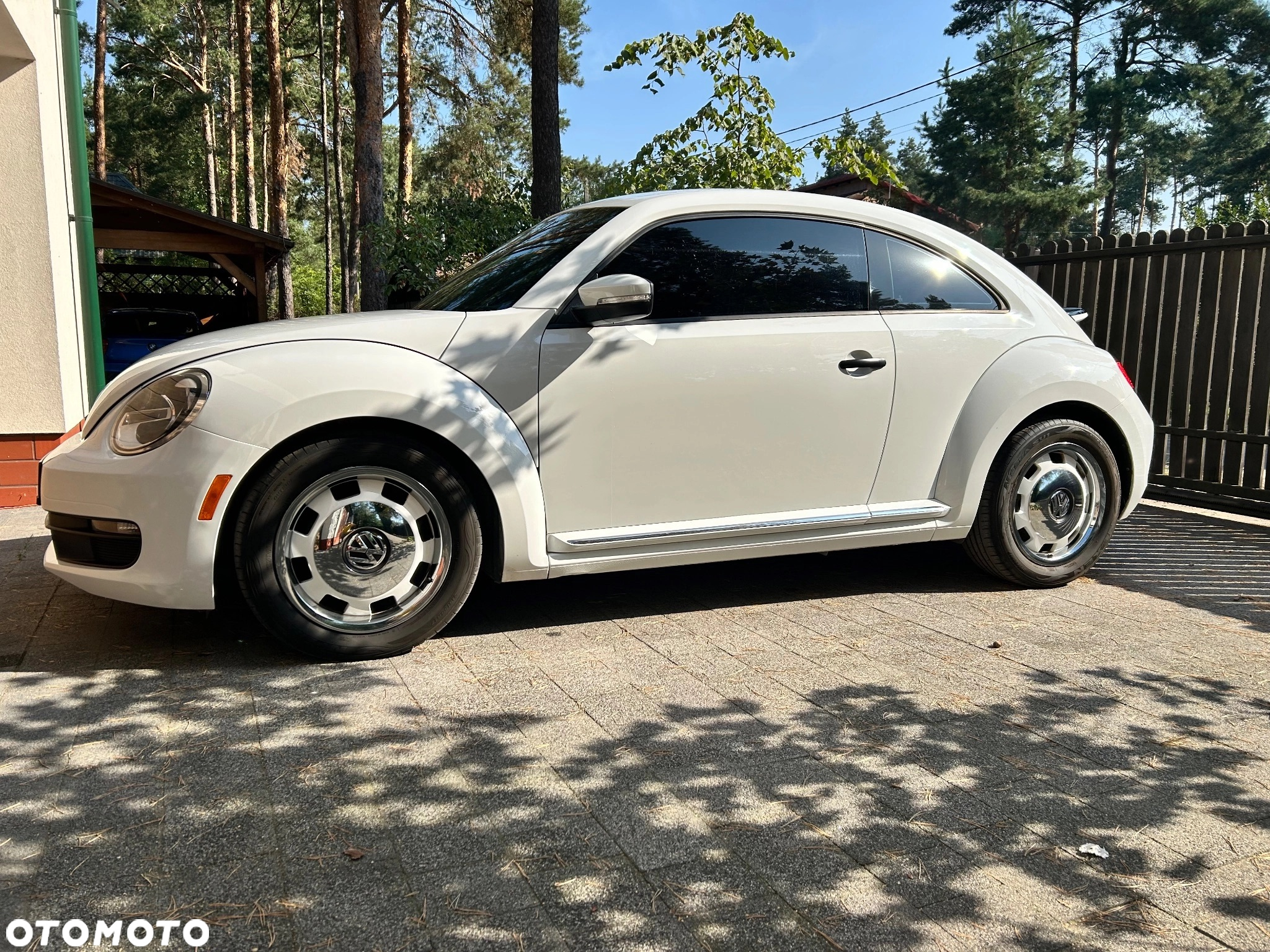 Volkswagen Beetle - 3