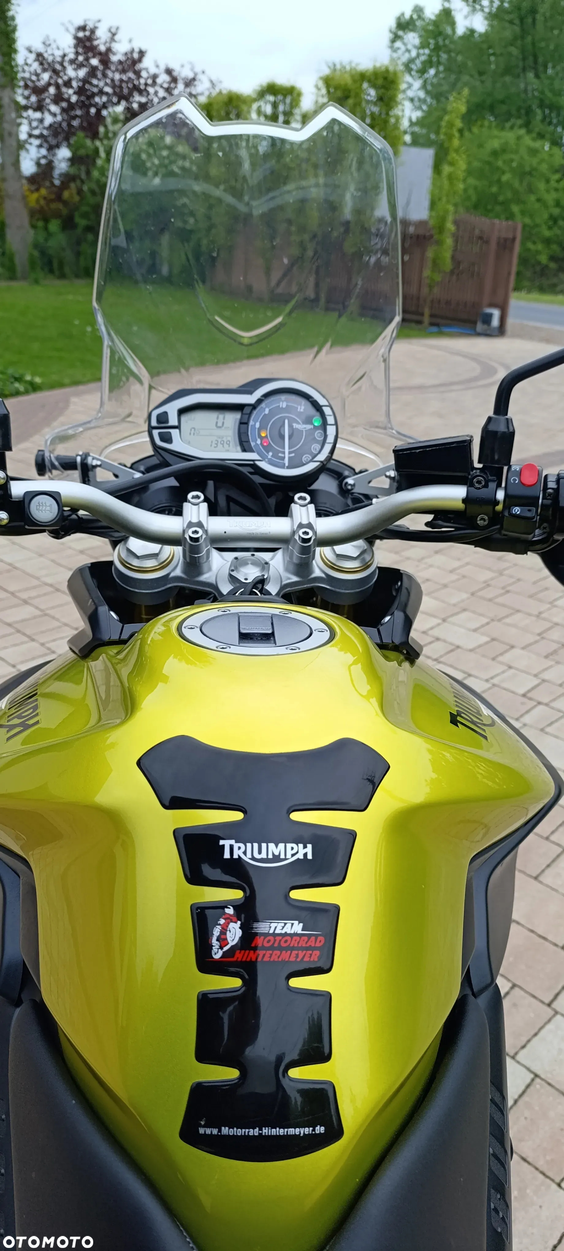 Triumph Tiger - 11
