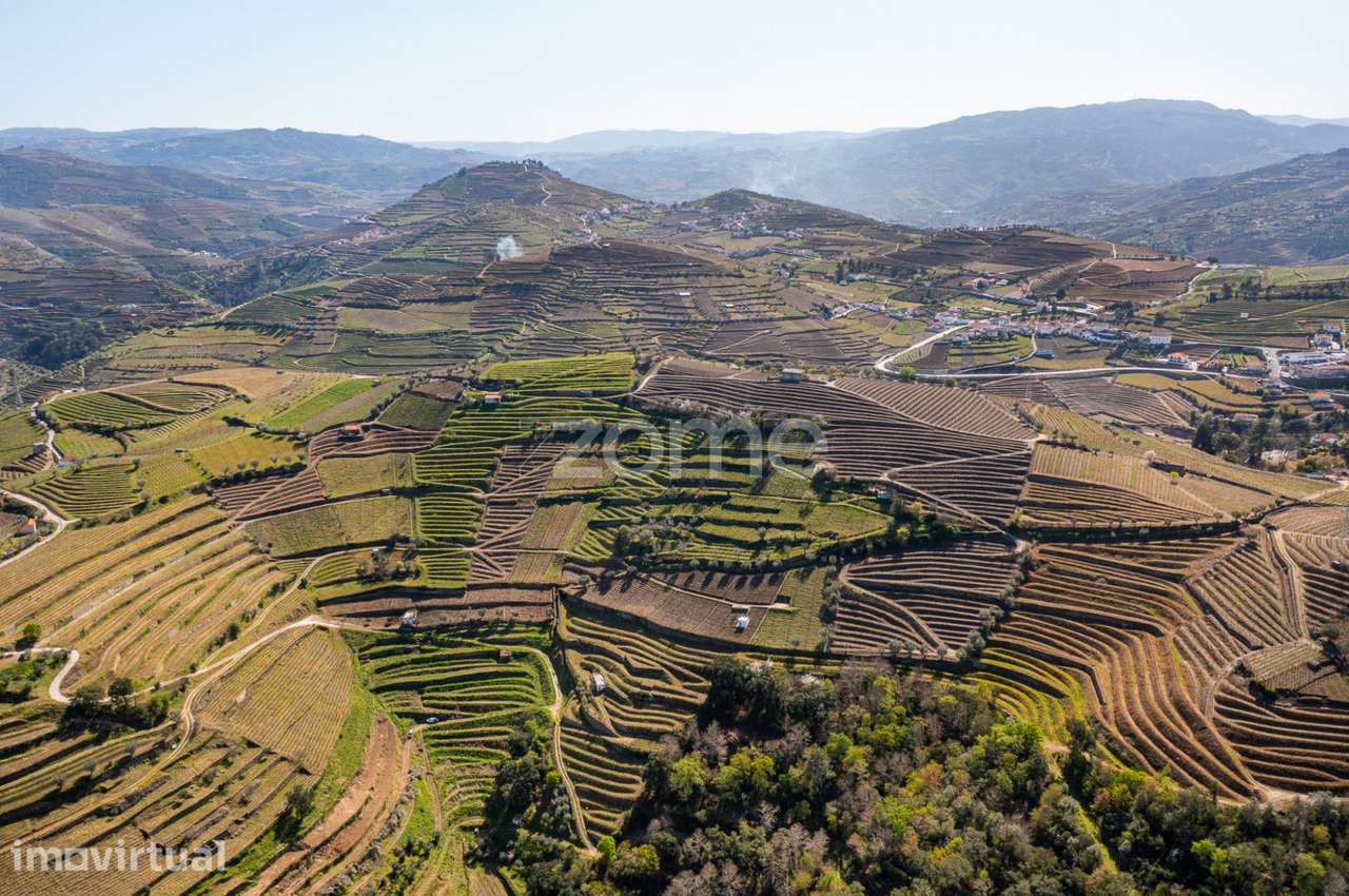 Terreno com 9 121 m2 situado em S. Marta de Penaguião - Grande imagem: 3/15