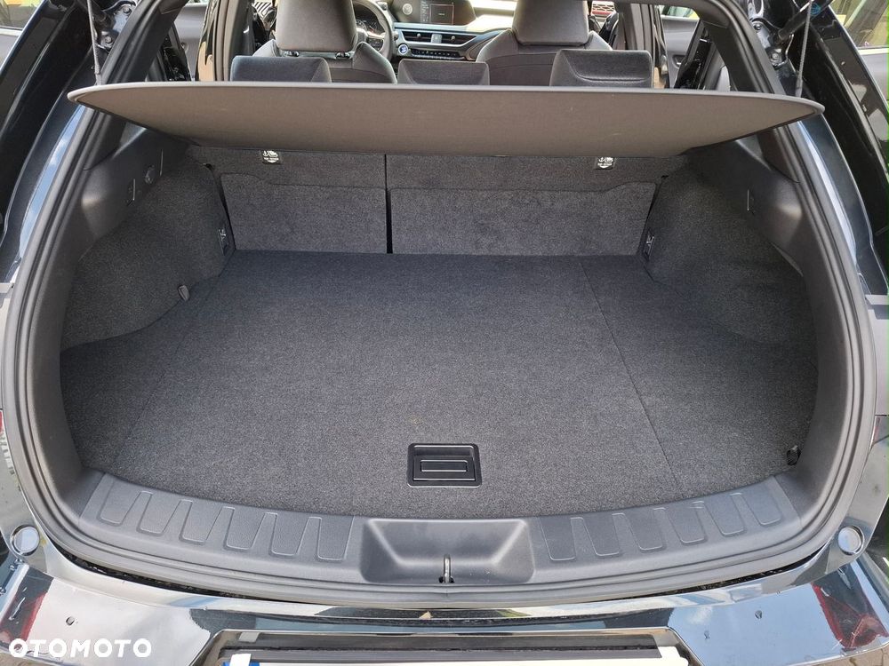 Lexus UX 250h GPF Business Edition 2WD - 27