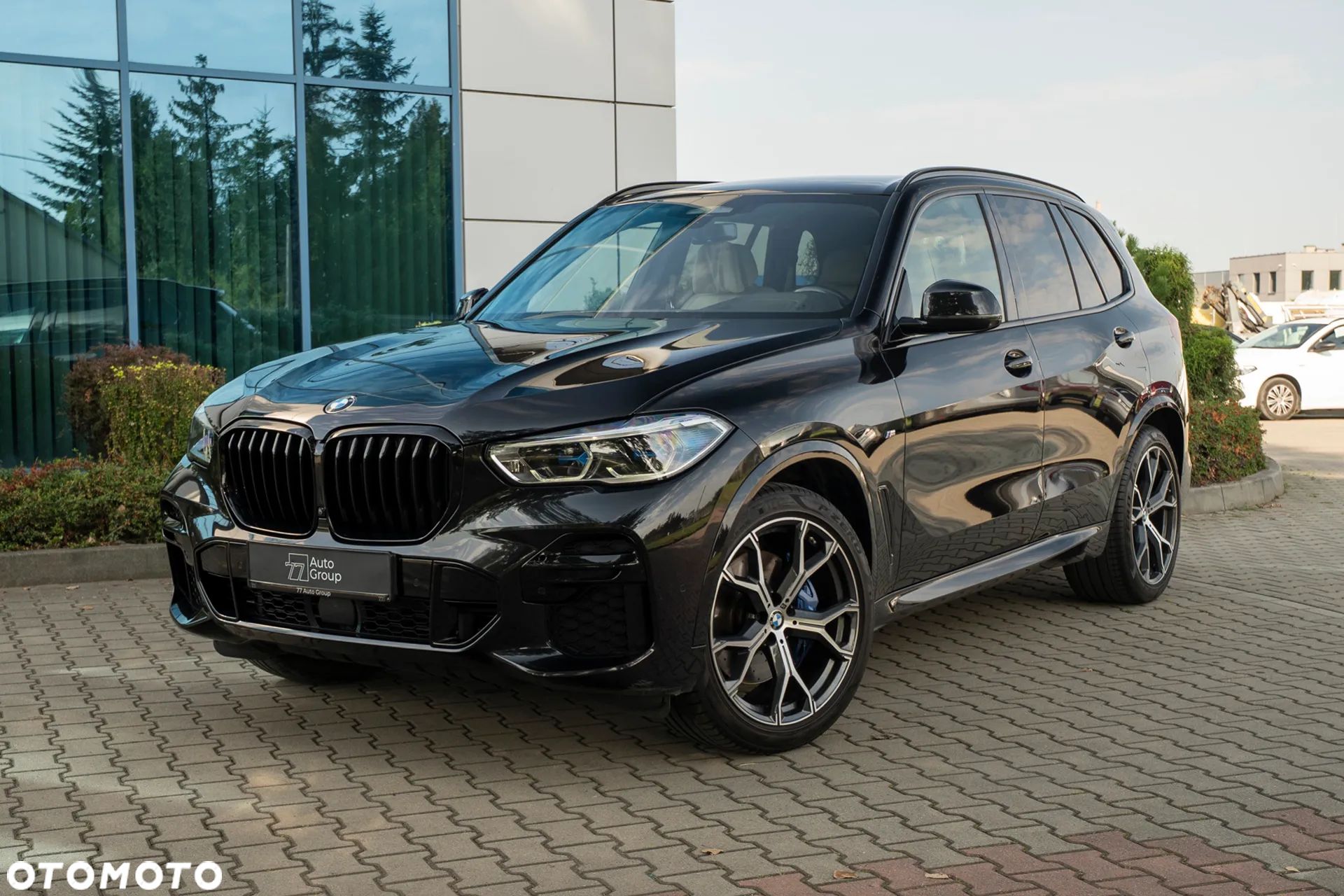 BMW X5 xDrive30d sport - 1