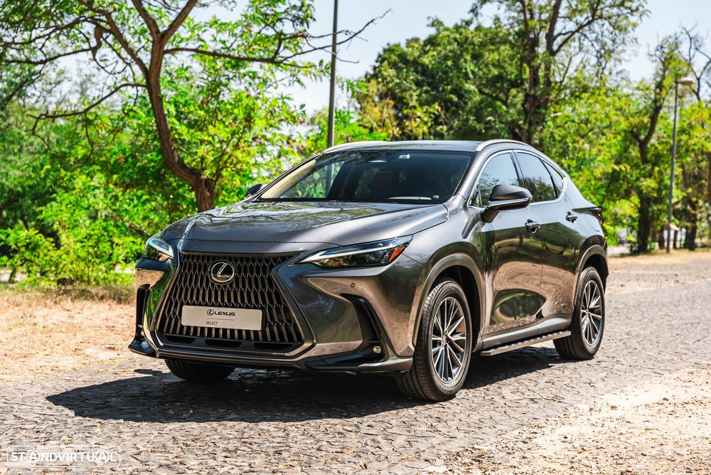 Lexus NX 450h+ - 1