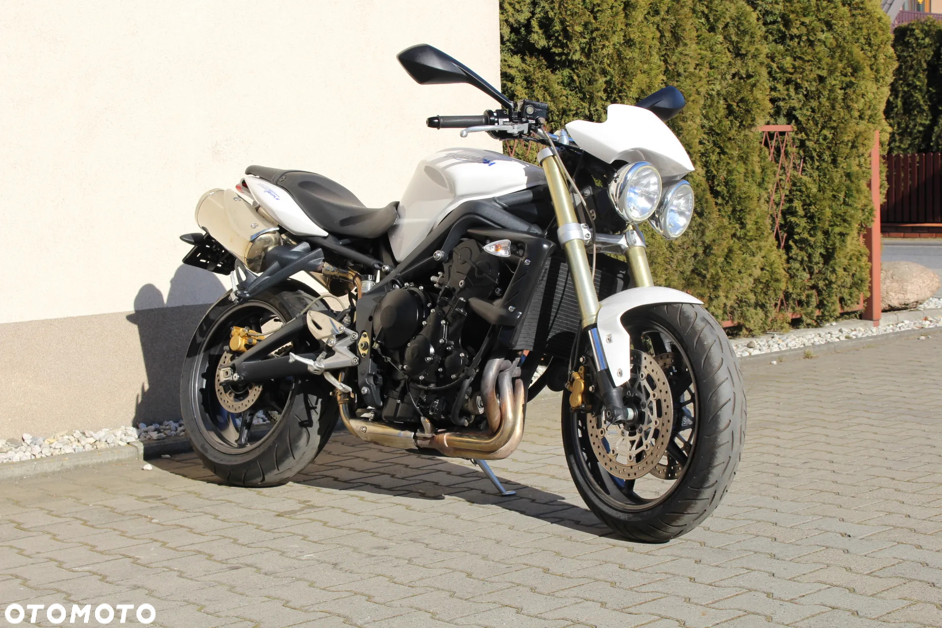 Triumph Speed Triple - 9