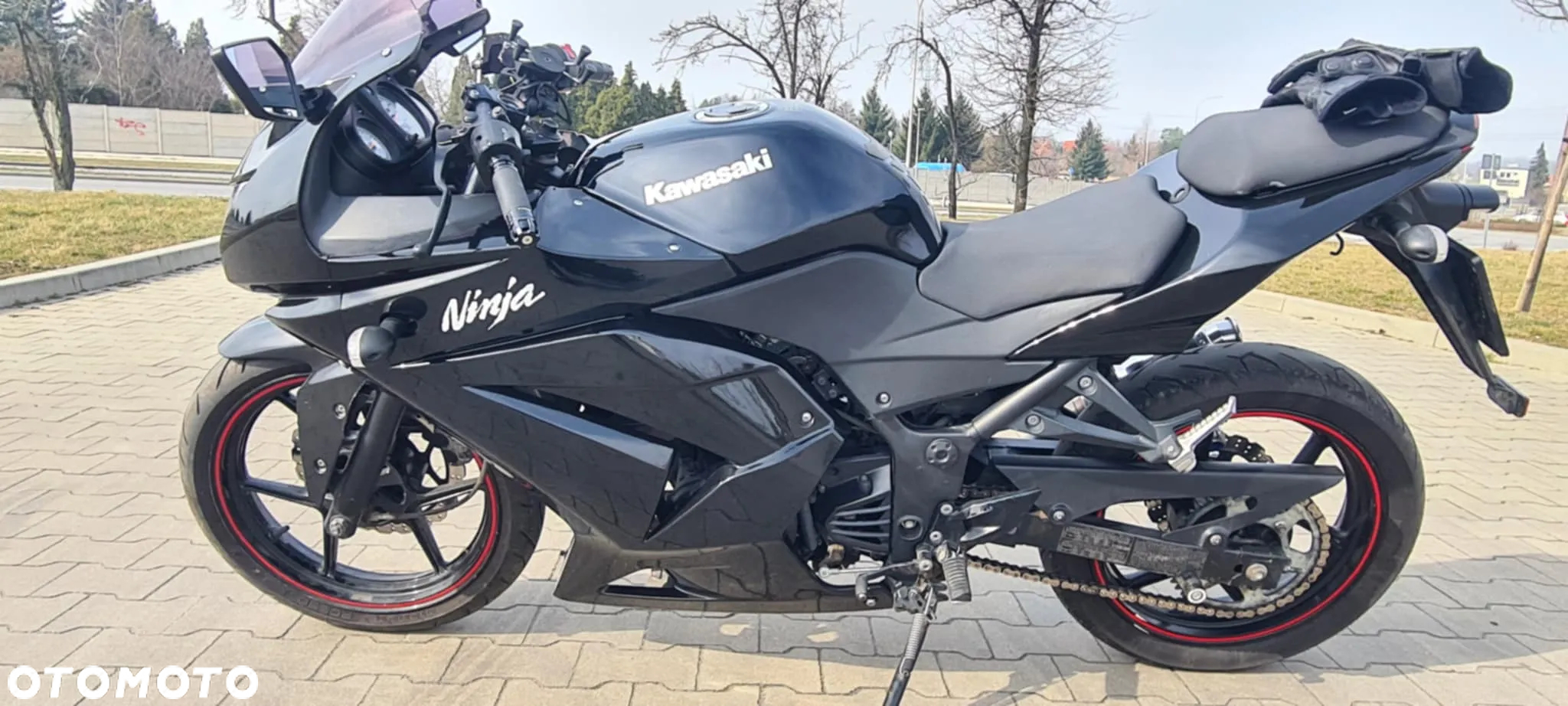 Kawasaki Ninja 250R - 4