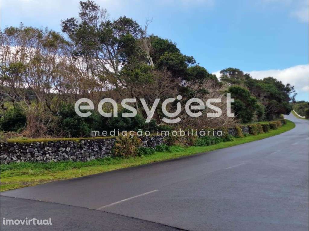 Terreno Rústico de vinha e arvoredo junto ao Aeroporto do Pico - Grande imagem: 4/15