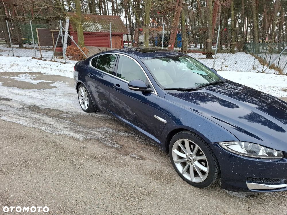 Jaguar XF 3.0 V6 D Luxury - 4