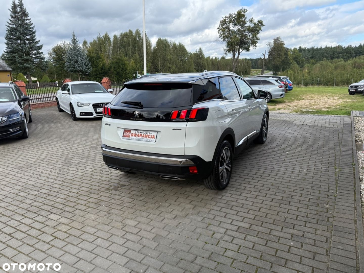 Peugeot 3008 - 8