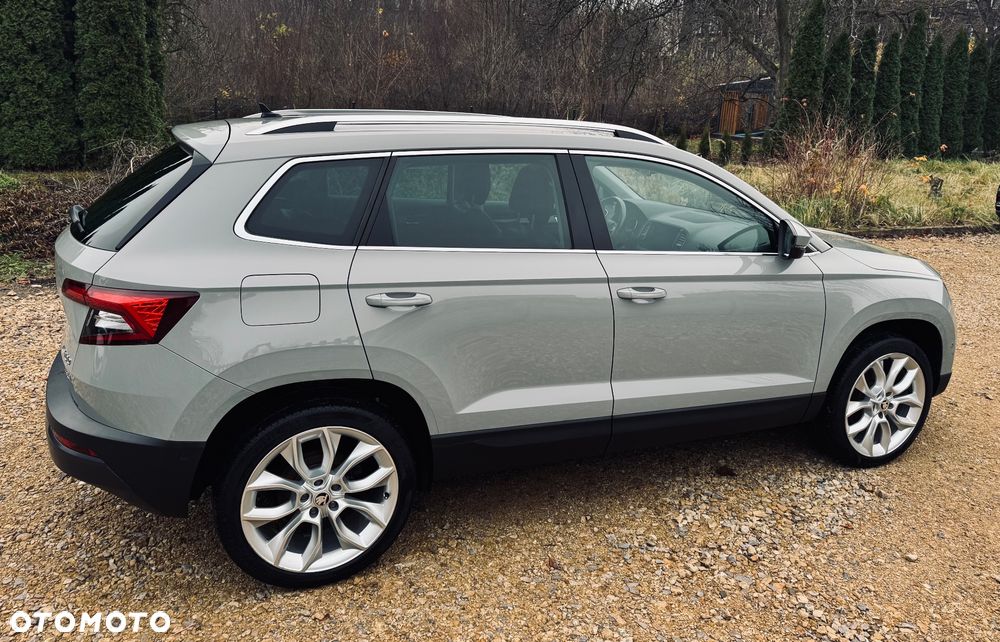 Skoda Karoq - 10