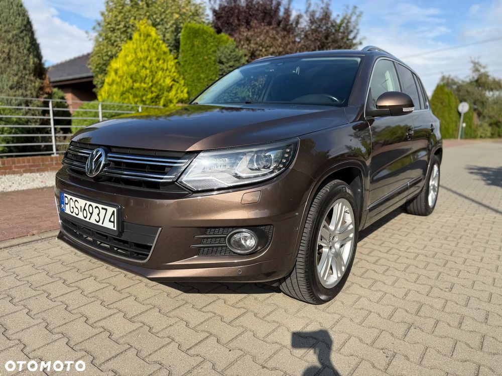 Volkswagen Tiguan - 19