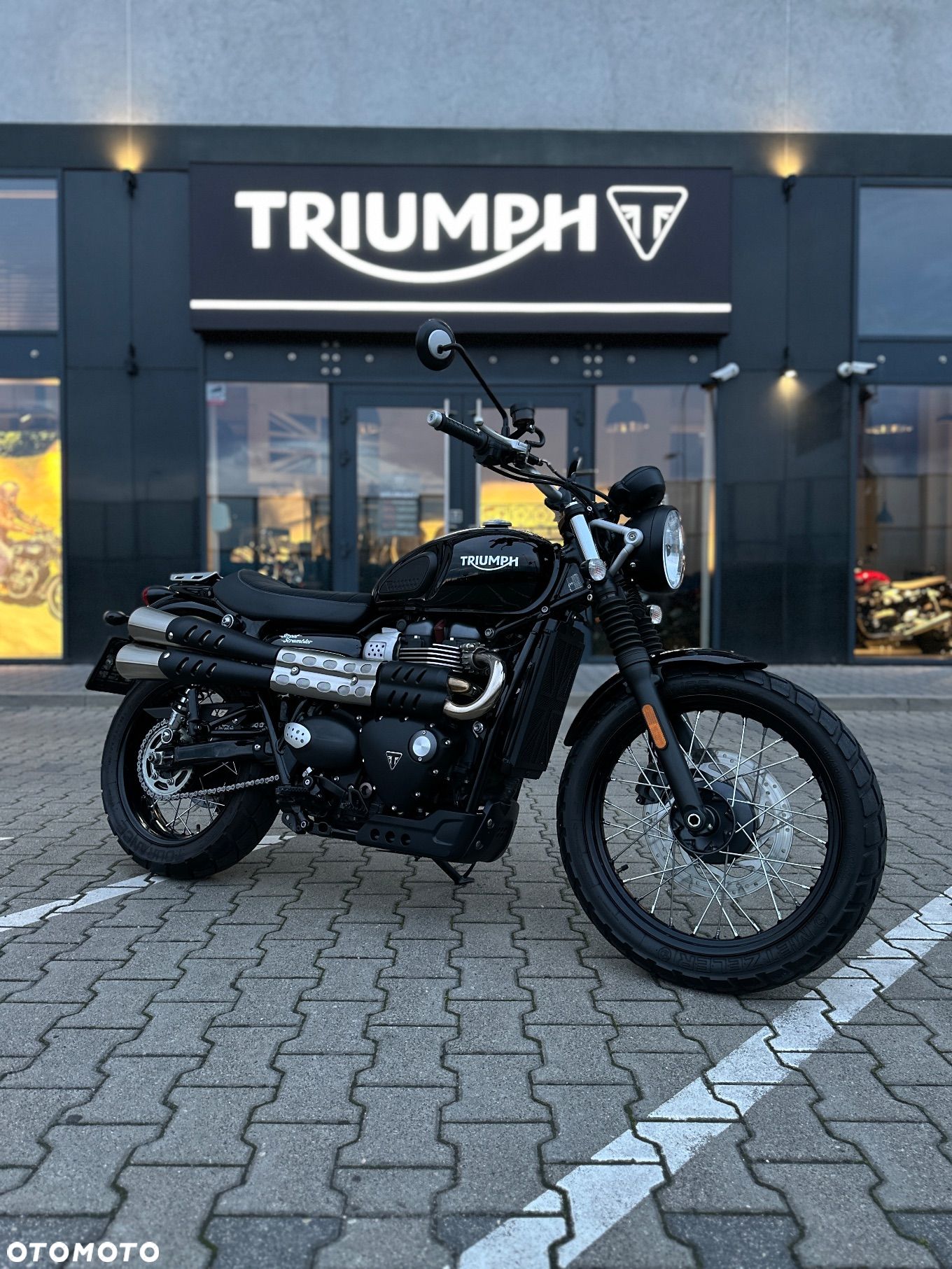Triumph Scrambler - 1