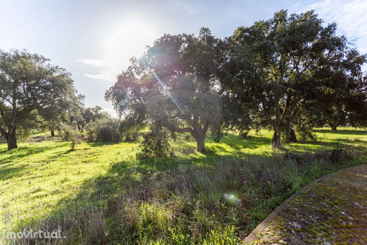 Terreno  para venda - Grande imagem: 5/7