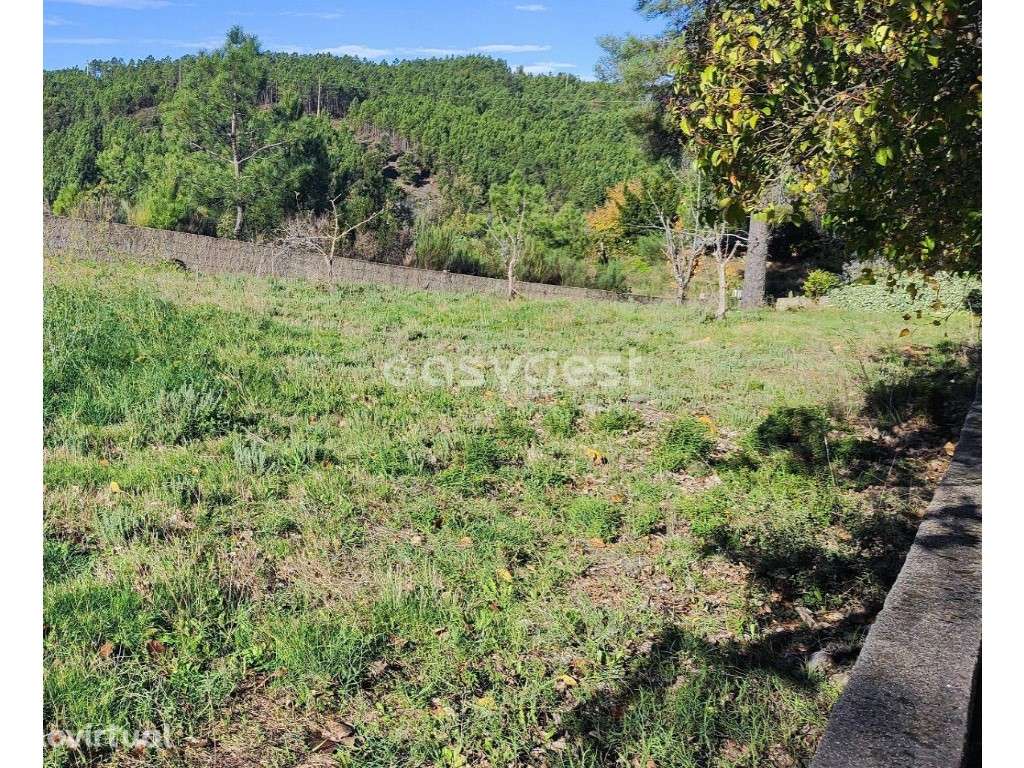 Terreno urbano situado na vila de são Vicente da Beira a escassos m... - Grande imagem: 5/12
