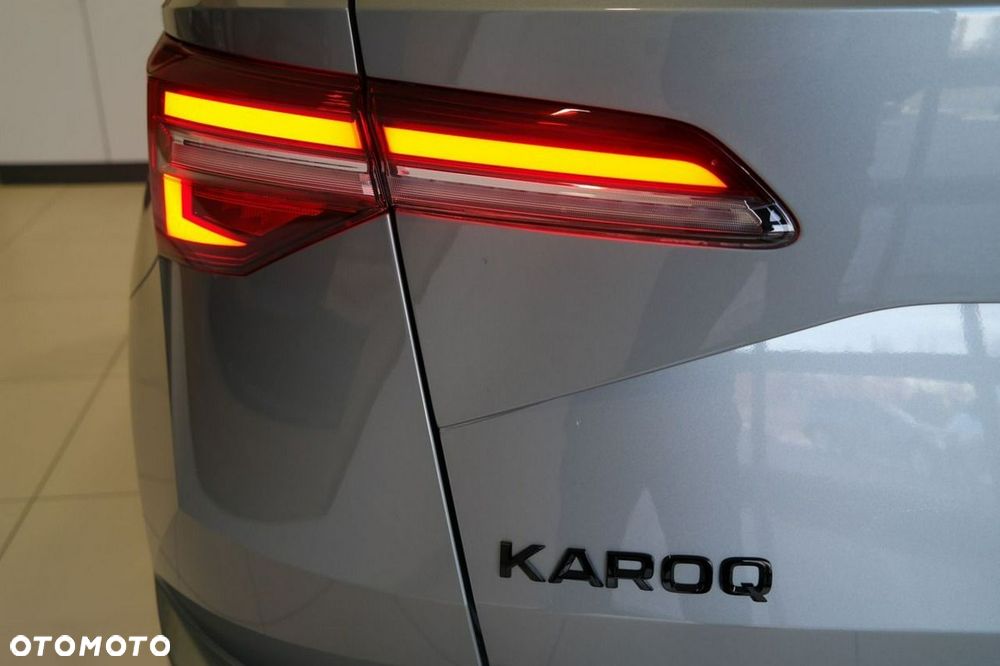 Skoda Karoq - 10