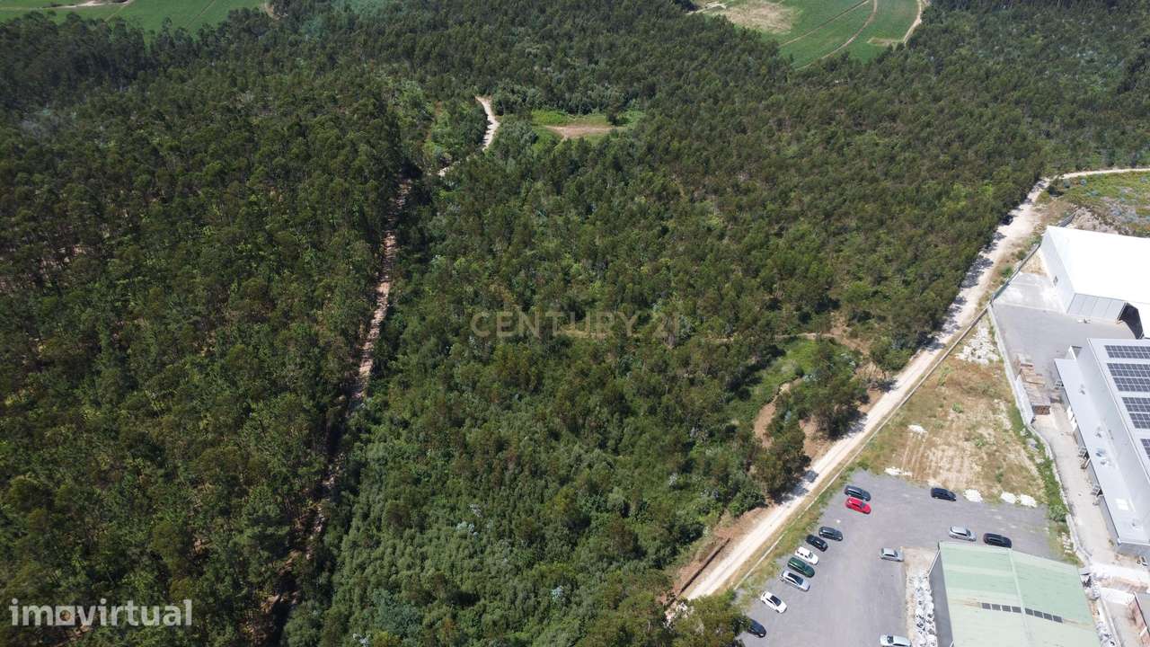 Terreno Industrial com 40.445 m² e PIP Aprovado - Grande imagem: 3/11