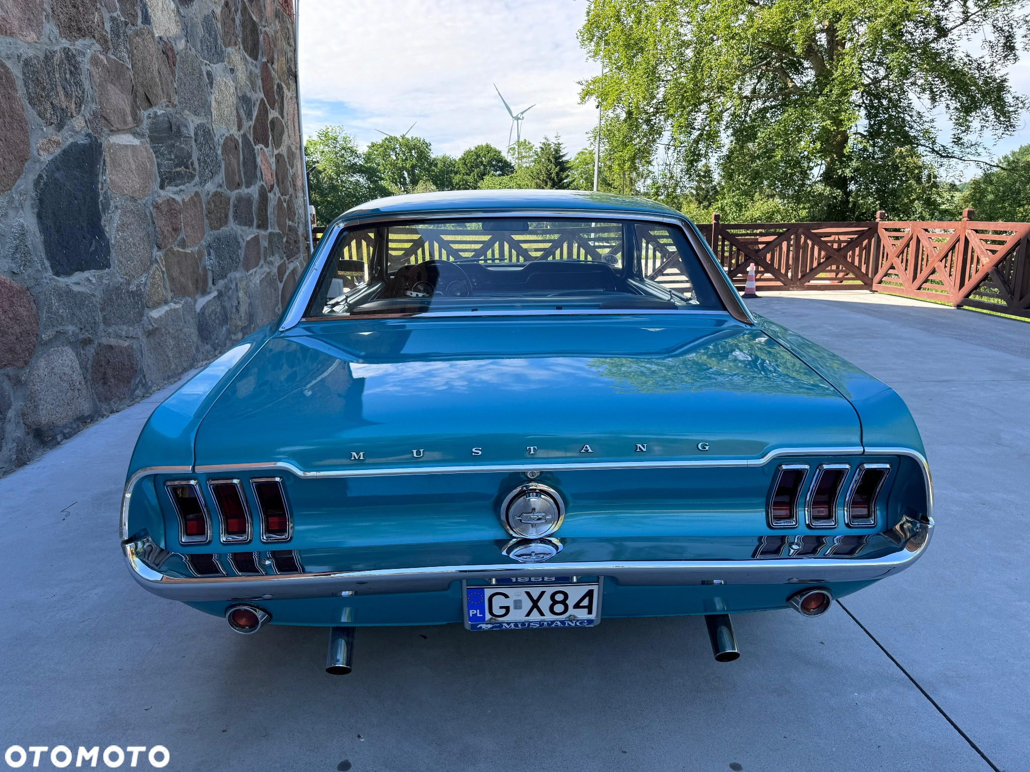 Ford Mustang - 8