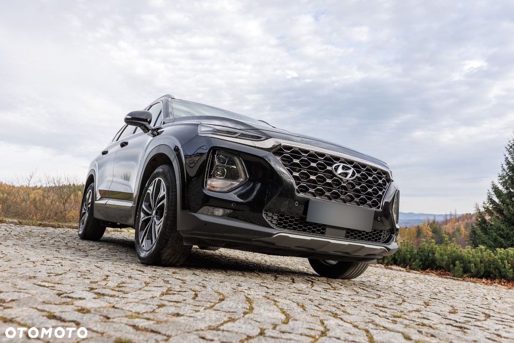 Hyundai Santa Fe 2.0 CRDi Platinum 4WD - 22