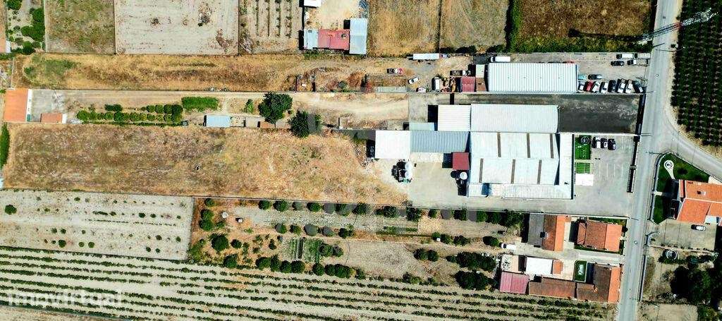 Venda Armazém - Grande imagem: 3/20