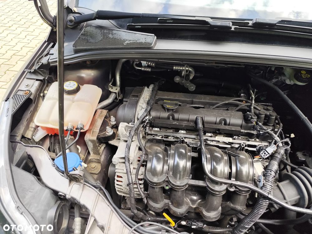 Ford Focus 1.6 TI-VCT Champions Edition - 33